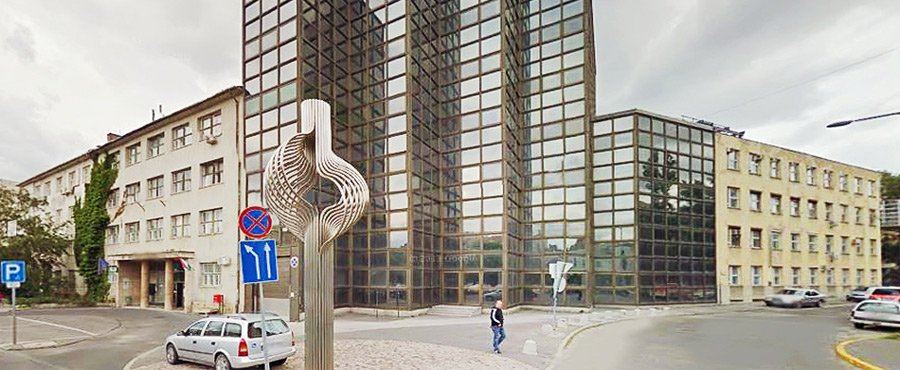 Руководитель Клиники ортопедии Университета Земмельвейса