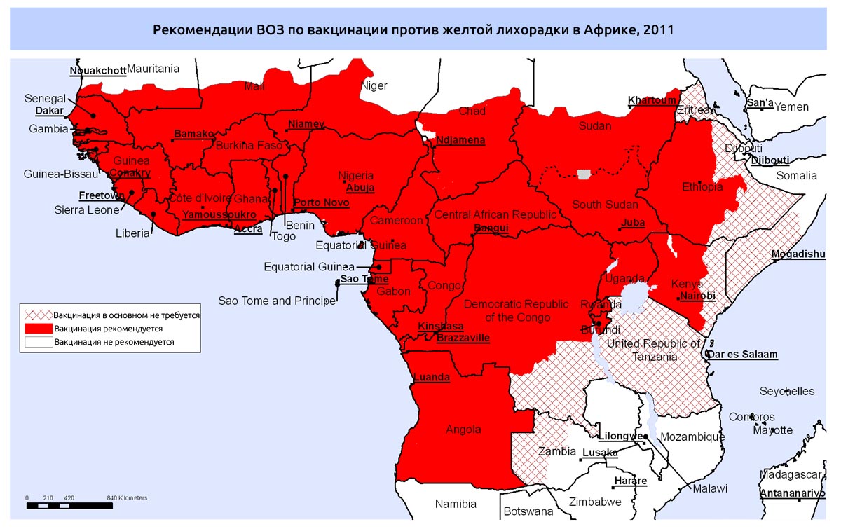 Африка желтая лихорадка