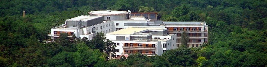 Реабилитация в Европе с "Европейской медицинско-научной группой "Европа"